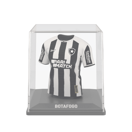 Botafogo 2024 - Splink