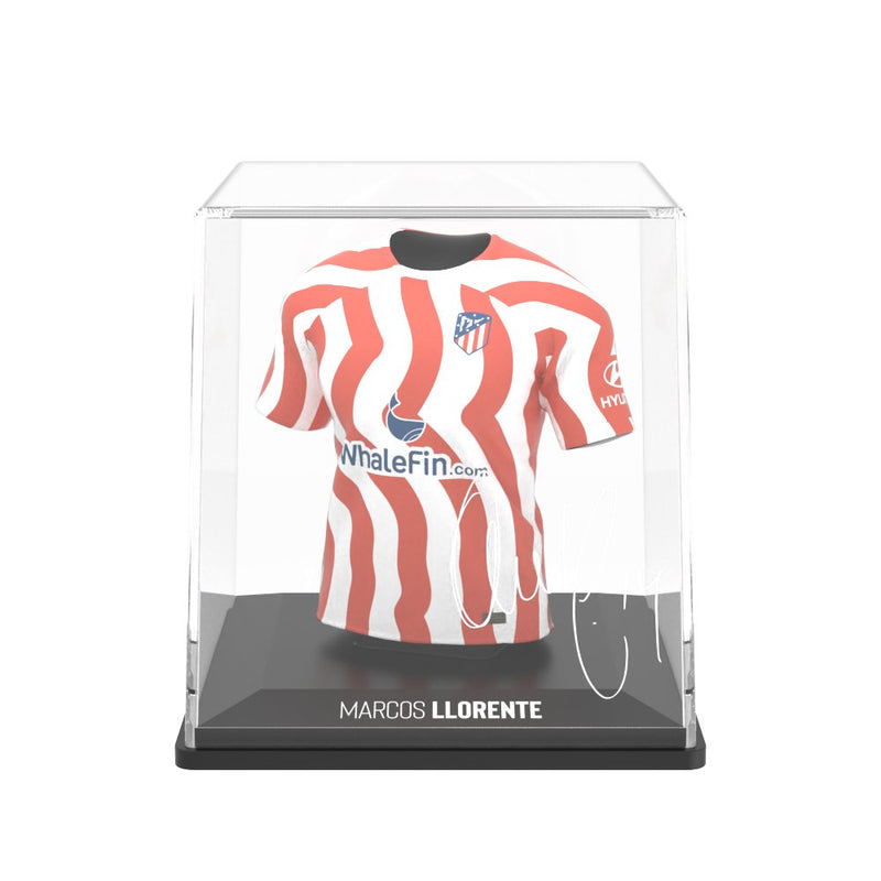 Carregue imagem no visualizador da galeriaM. Llorente - Splink

