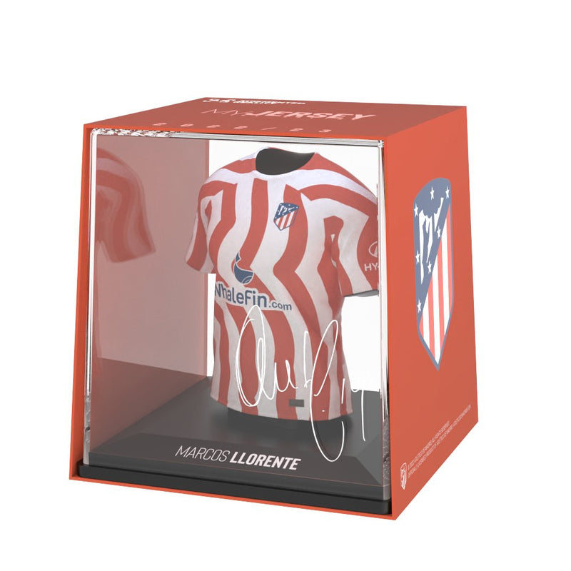 Carregue imagem no visualizador da galeriaM. Llorente - Splink
