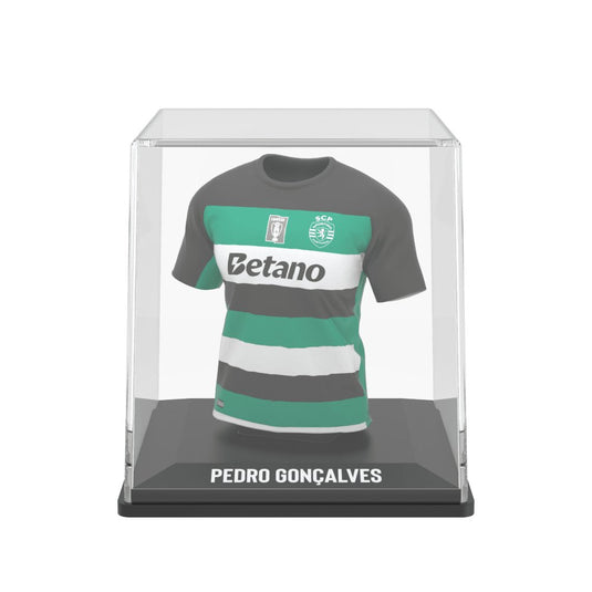 Pedro Gonçalves - Splink