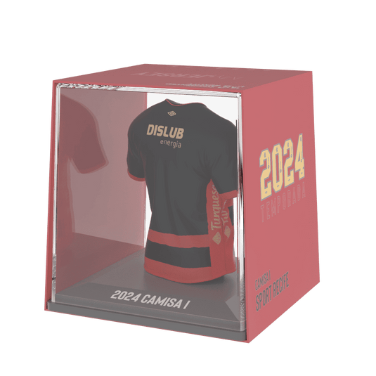 SC Recife 2024 - Splink