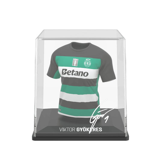 Viktor Gyökeres - Splink